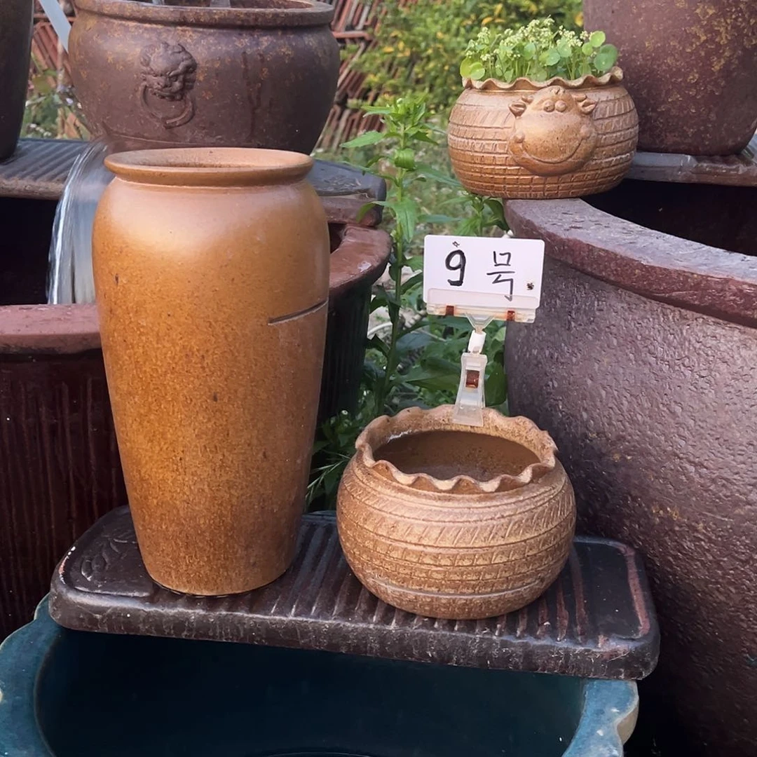 紫砂花盆FFF才VV哈哈发哥哥哥哥哥哥哈哈