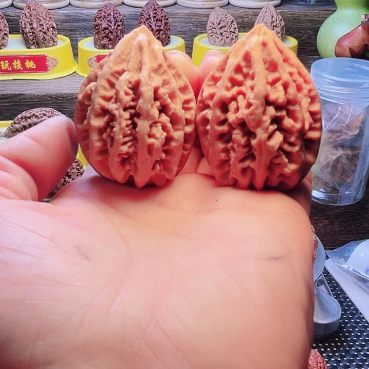 核桃10号车放漏漏漏漏