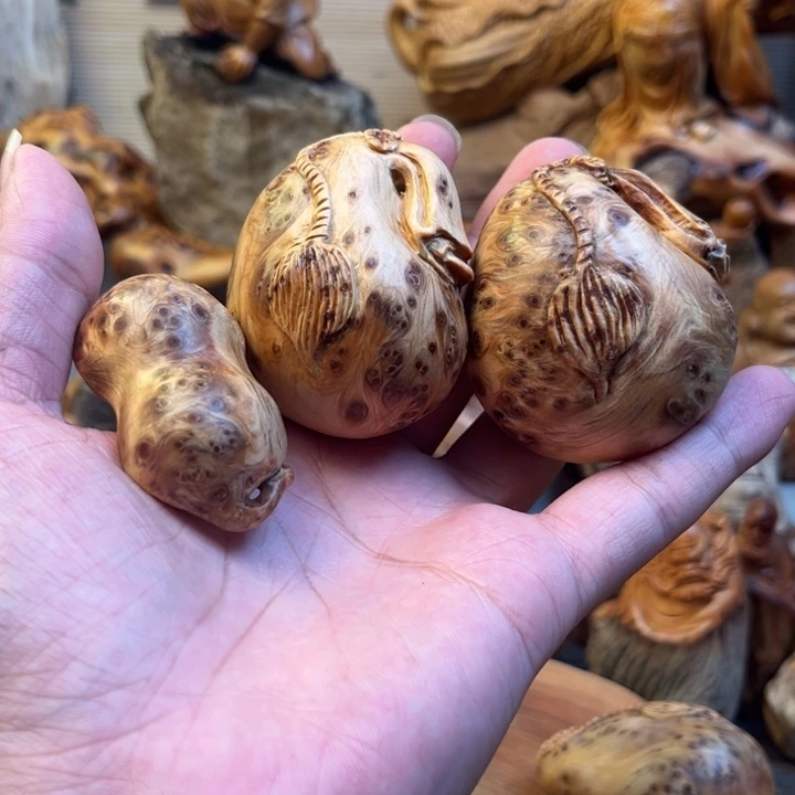 柏木（崖柏）韦*?太行崖柏