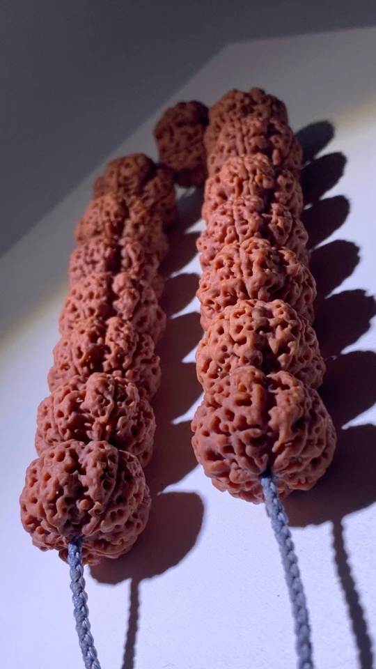 【魔丸针孔蜂窝】尼泊尔大金刚金刚菩提