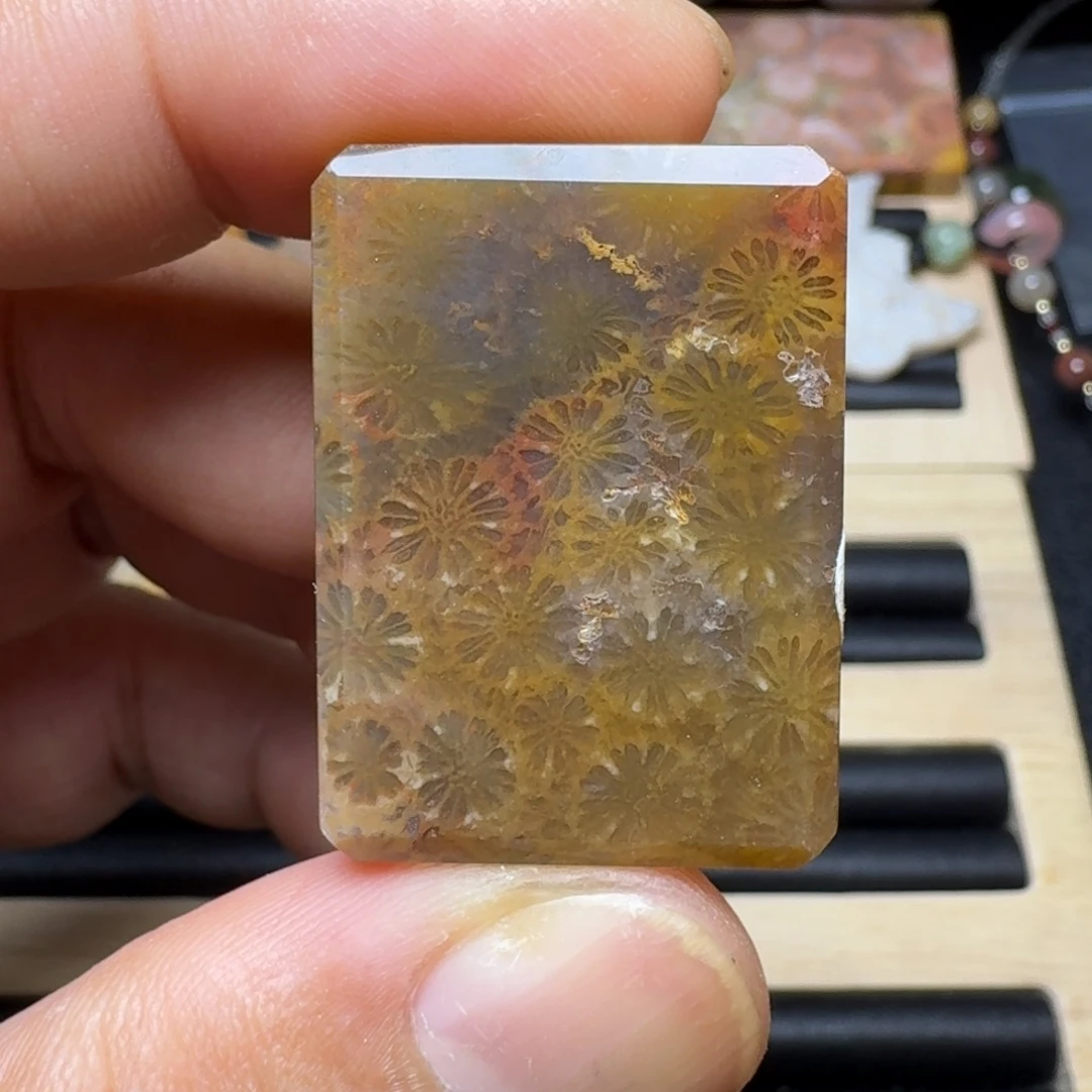 未镶嵌纯天然色有机玉石保真色硅化玉
