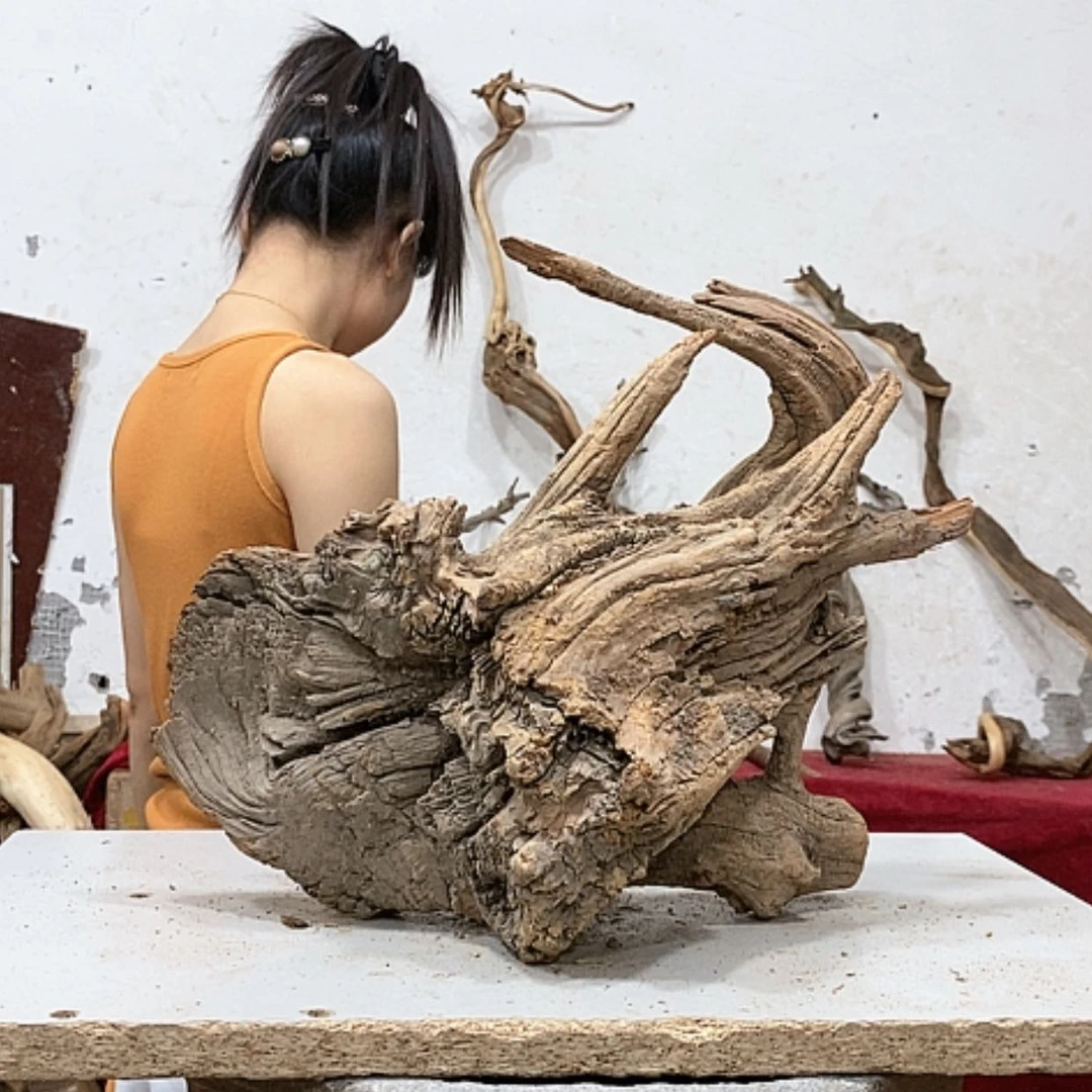 【闪购商品】柏木独***。我们都是好孩子