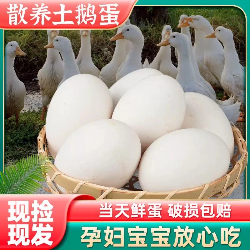 农村散养大鹅蛋顺丰发坏损赔农家散养土鹅蛋12枚大鹅蛋孕妇吃鹅蛋
