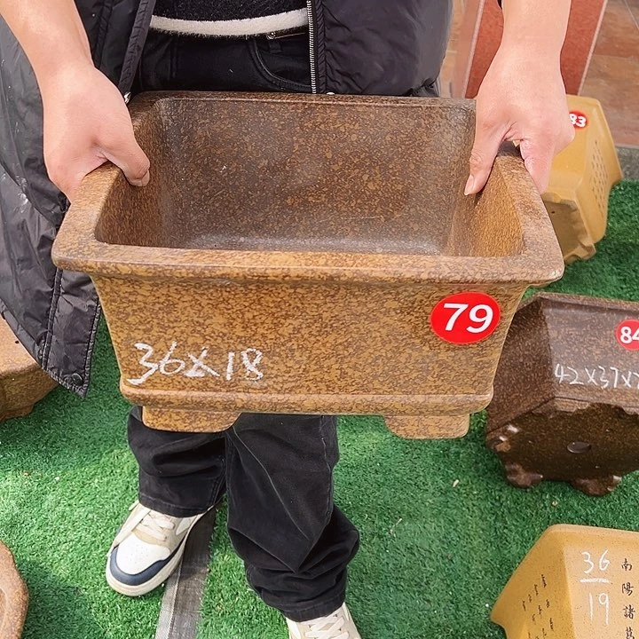 紫砂紫砂花盆花盆