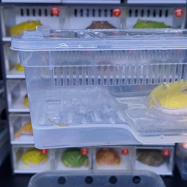 特价秒杀现货特价