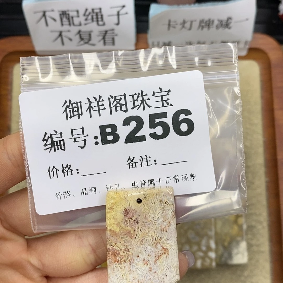 石英质玉未镶嵌颈饰蘑**点