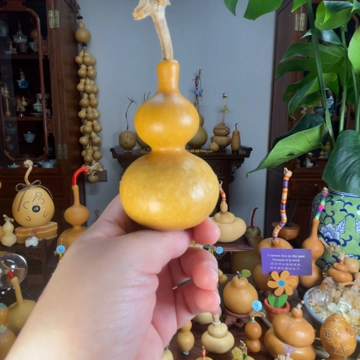 直立稳坐响籽微花叶葫芦