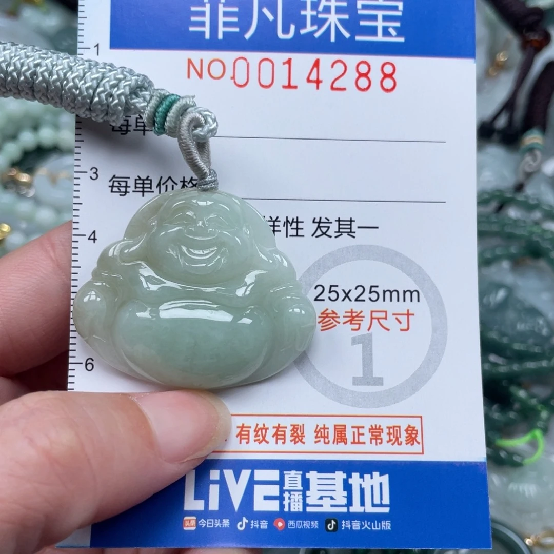 翡翠未镶嵌颈饰14288