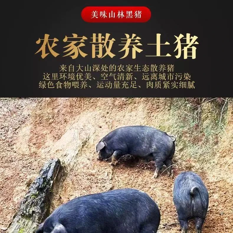 湖北跑山黑土猪风干肉腊肉腊肠熏肉熏腊肠腊排骨腊猪蹄五花肉