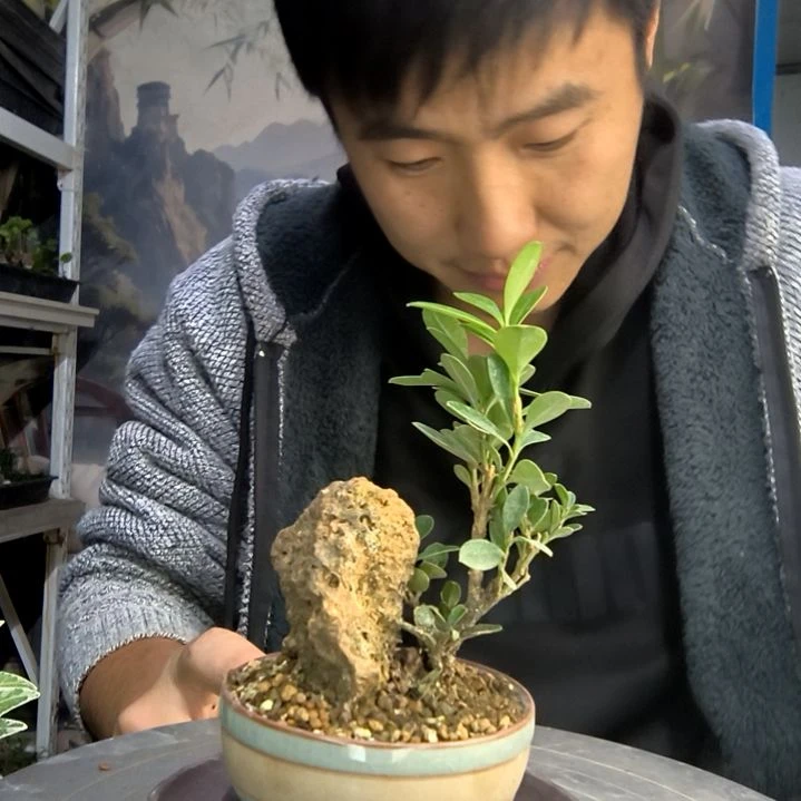 m**姐中青园艺一物一拍431