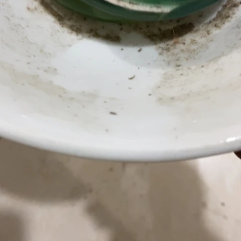 静*z c z c z c z x x
