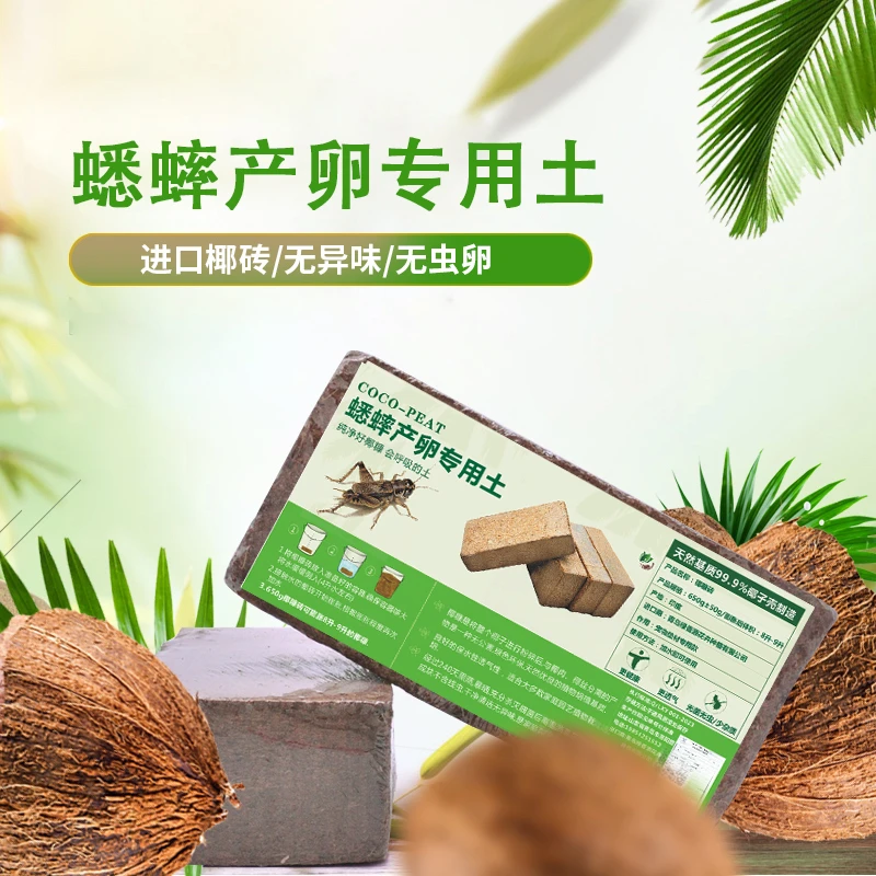 椰砖通用型耶砖营养土椰糠椰土宠物专用爬宠蟋蟀专用