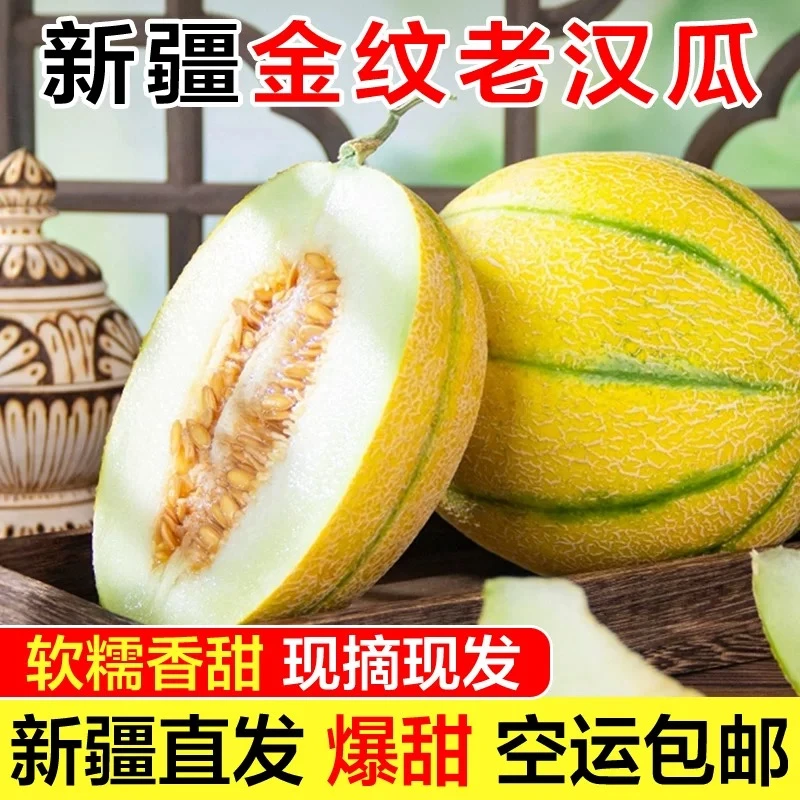 顺丰/京东空运包邮新疆金纹老汉瓜软糯多汁现踩现摘