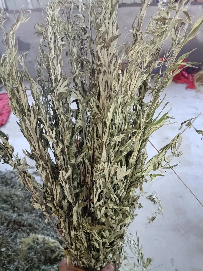 野生陈年艾叶草干艾草叶散装洗头泡脚药包新鲜艾蒿丹参玫瑰花茶