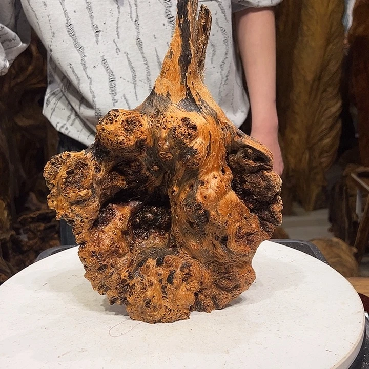 松木（琥珀木）厚**物