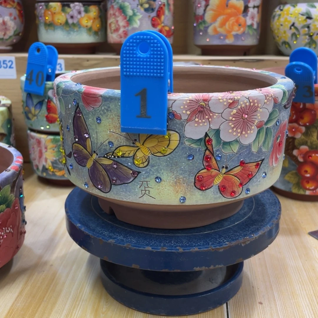 蝴蝶花盆多肉花盆