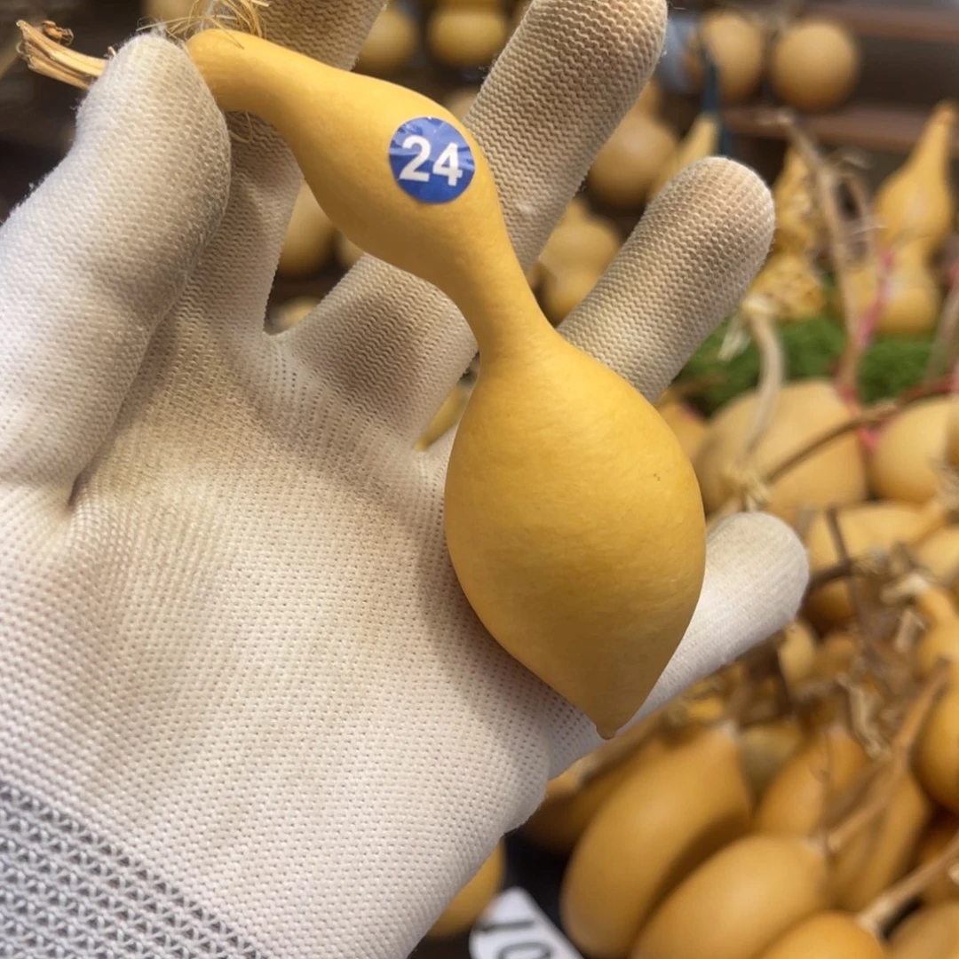 闪拍葫芦链接-24号品