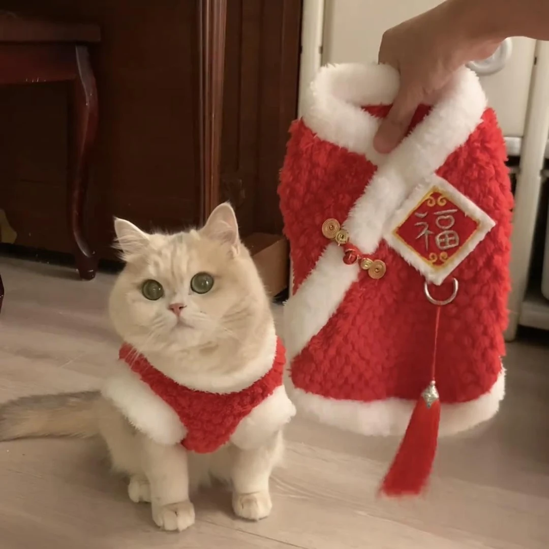 猫咪衣服秋冬装保暖加厚绒衣宠物背心布偶金渐层红色新年战袍hh