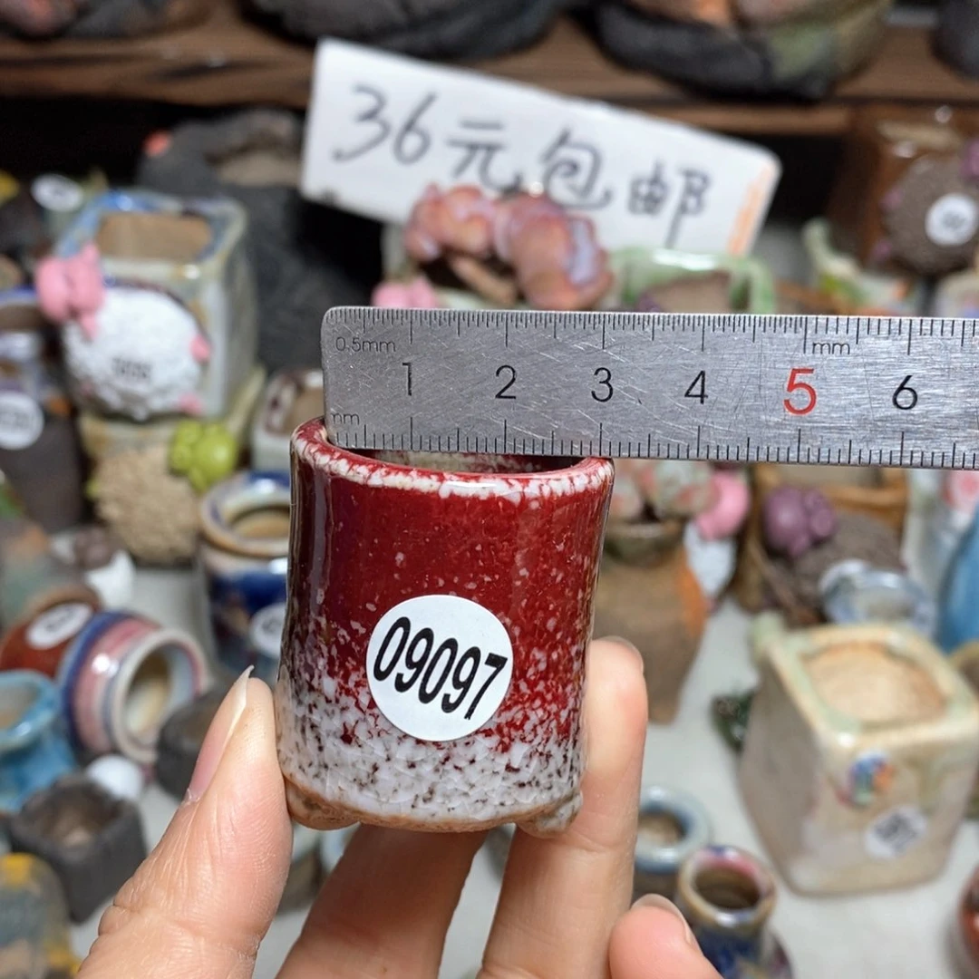 拍5送一个小礼物