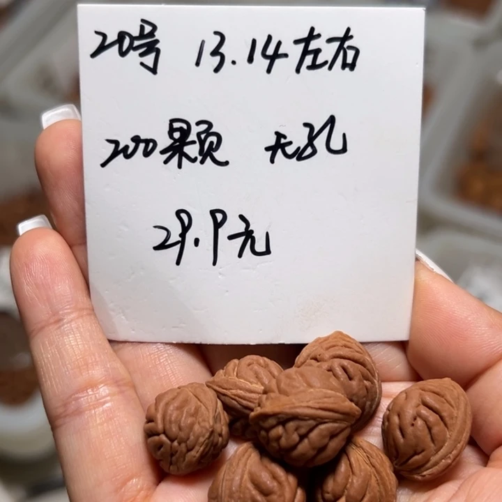 木质类雕刻料肚卡13-14 200颗