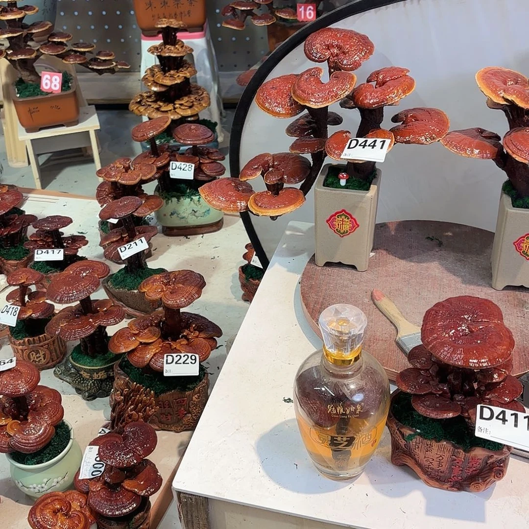 宝***雪无花朵8888888888888888888