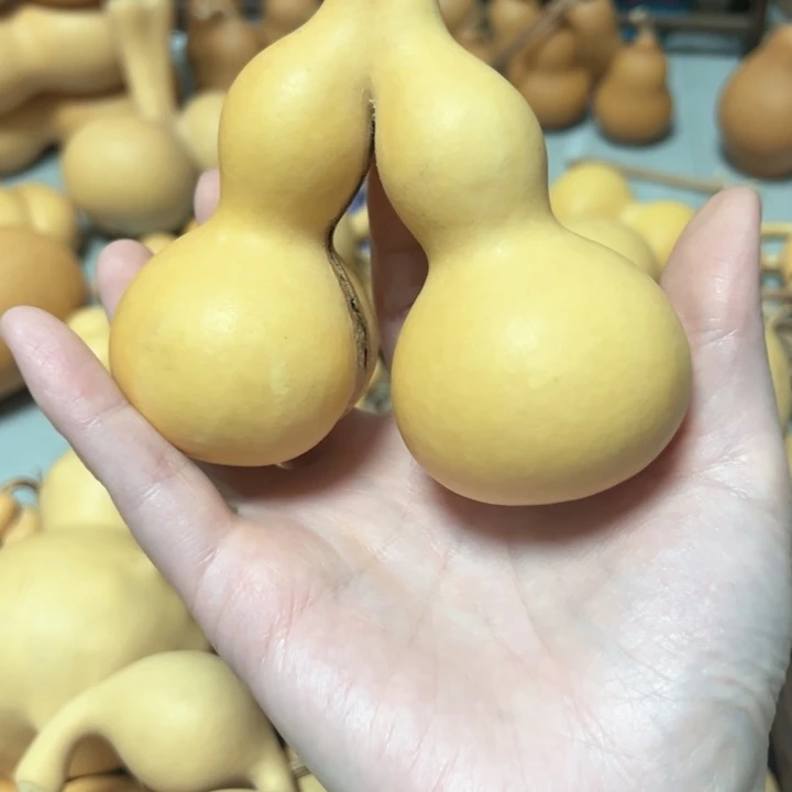 孤***伴葫芦葫芦葫芦葫芦