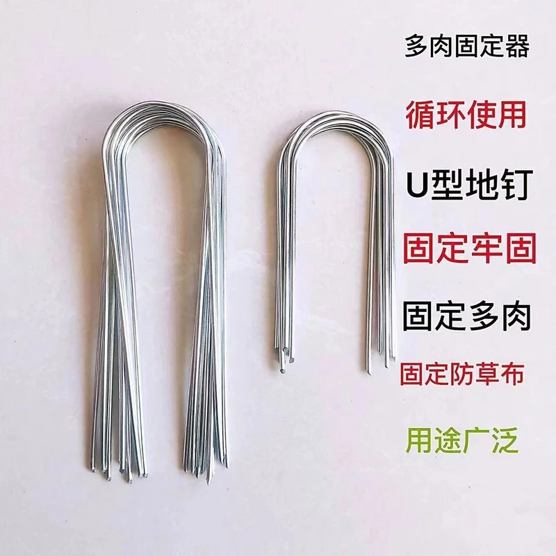 多肉固定器悬崖桩老桩定制u型固定器月季压枝器多肉支架盆景定型