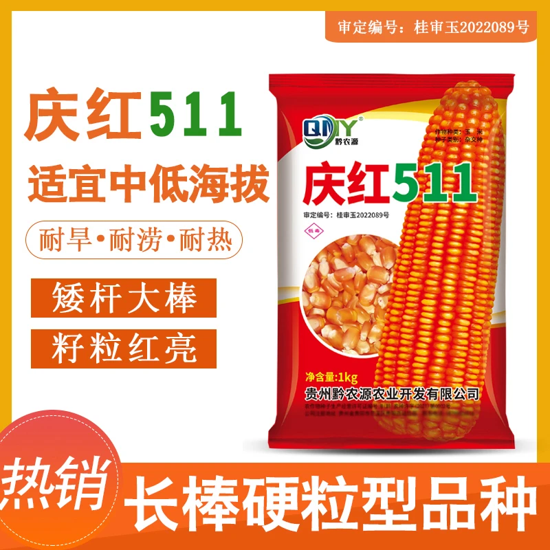 适宜中低海拔种植庆红511玉米种子长棒硬粒型品种苞谷种