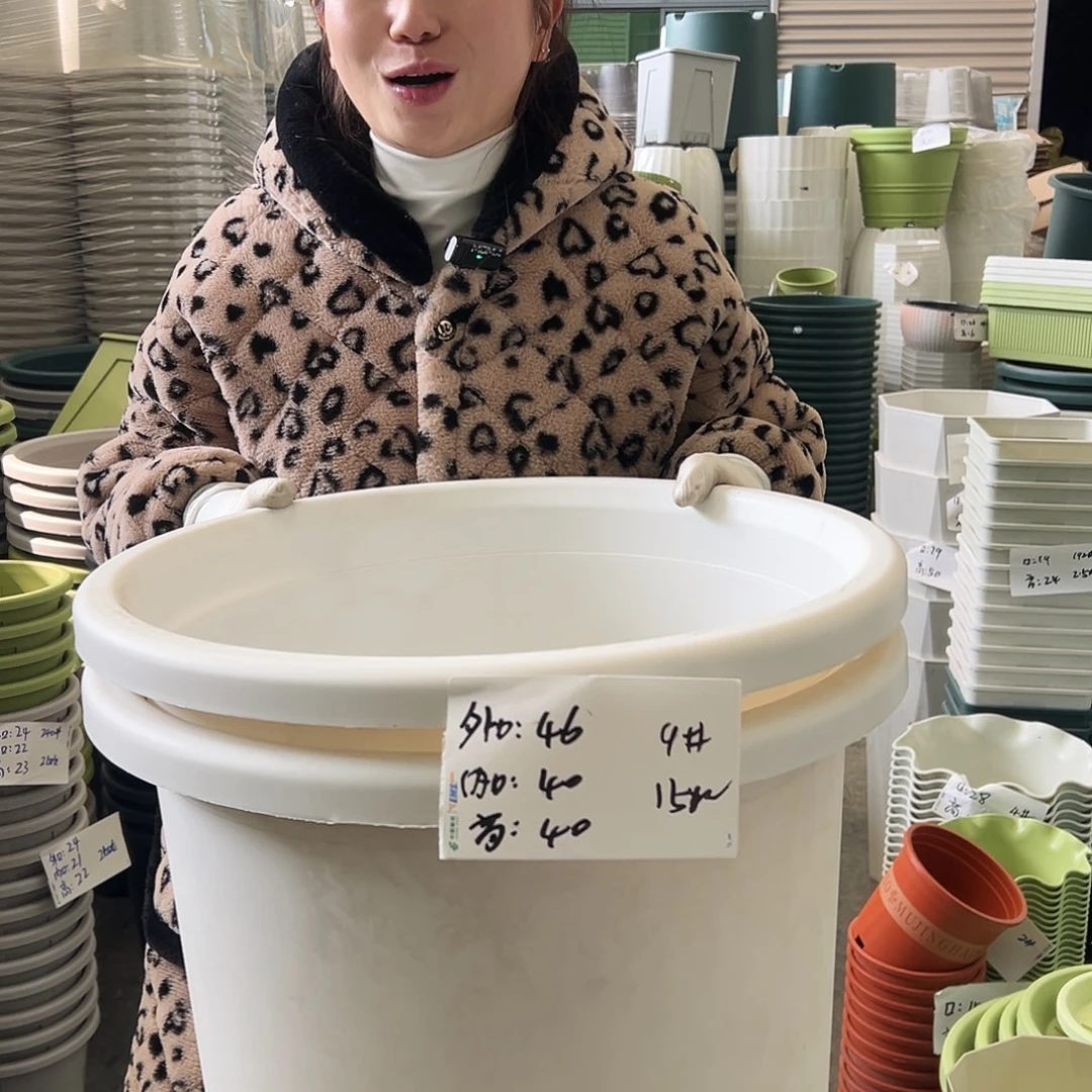 四季盆9#白色4个无托