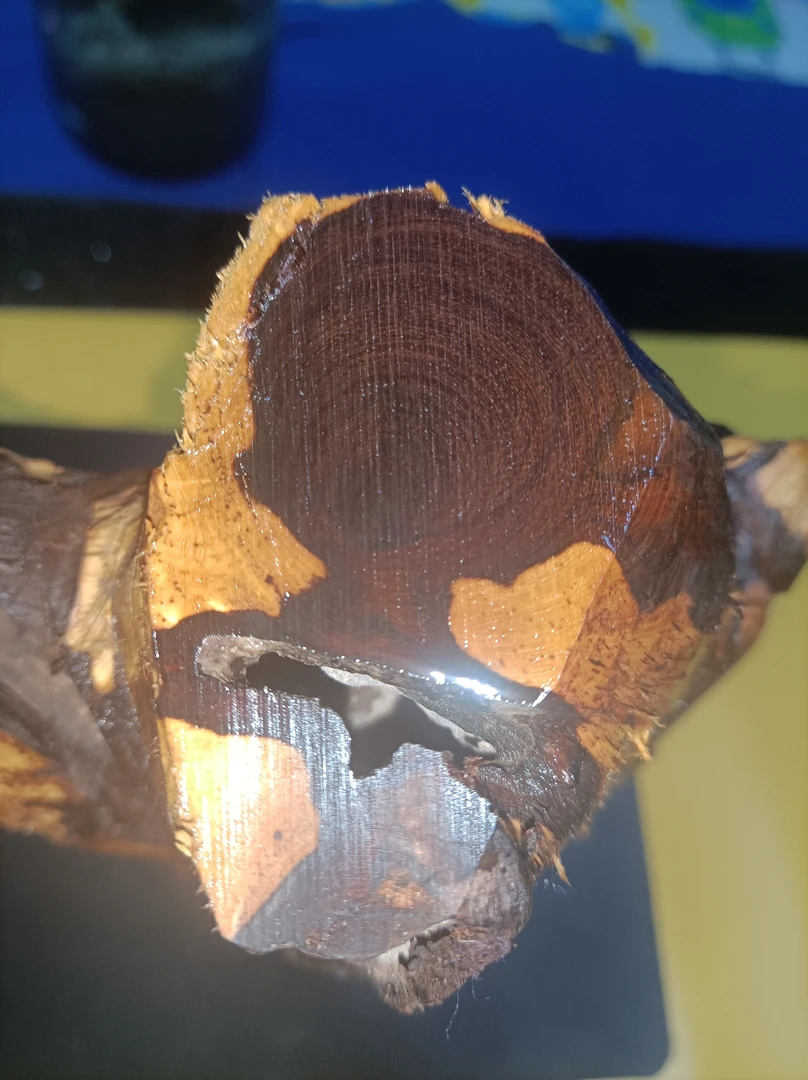 海南黄花梨紫油梨百年老料帝王紫采自西部八所地区沉水级降香黄檀
