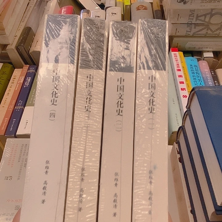 中国文化史 全四款