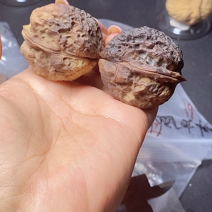 把件文玩核桃51-39mm