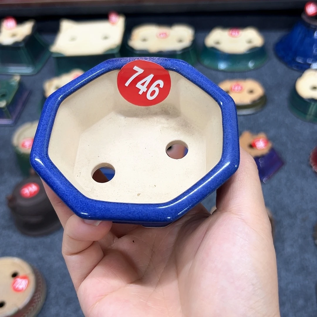 纵***海对你的喜欢就如同这日子只增不减746