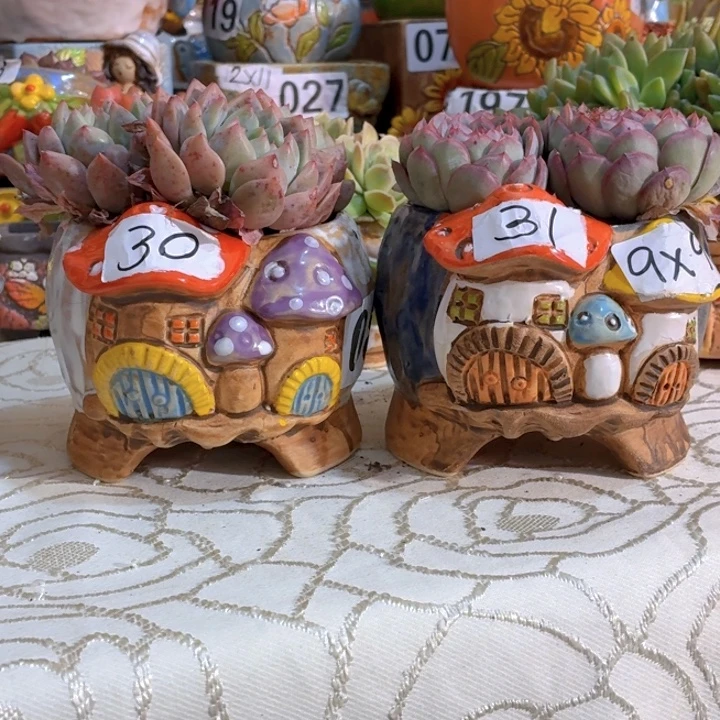 多肉花盆满15包邮