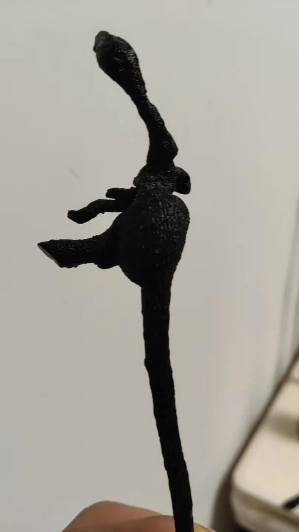 金弹子盆栽老桩拍摄