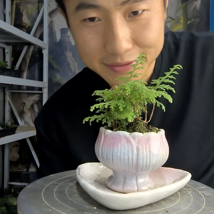 探****a中青园艺一物一拍261