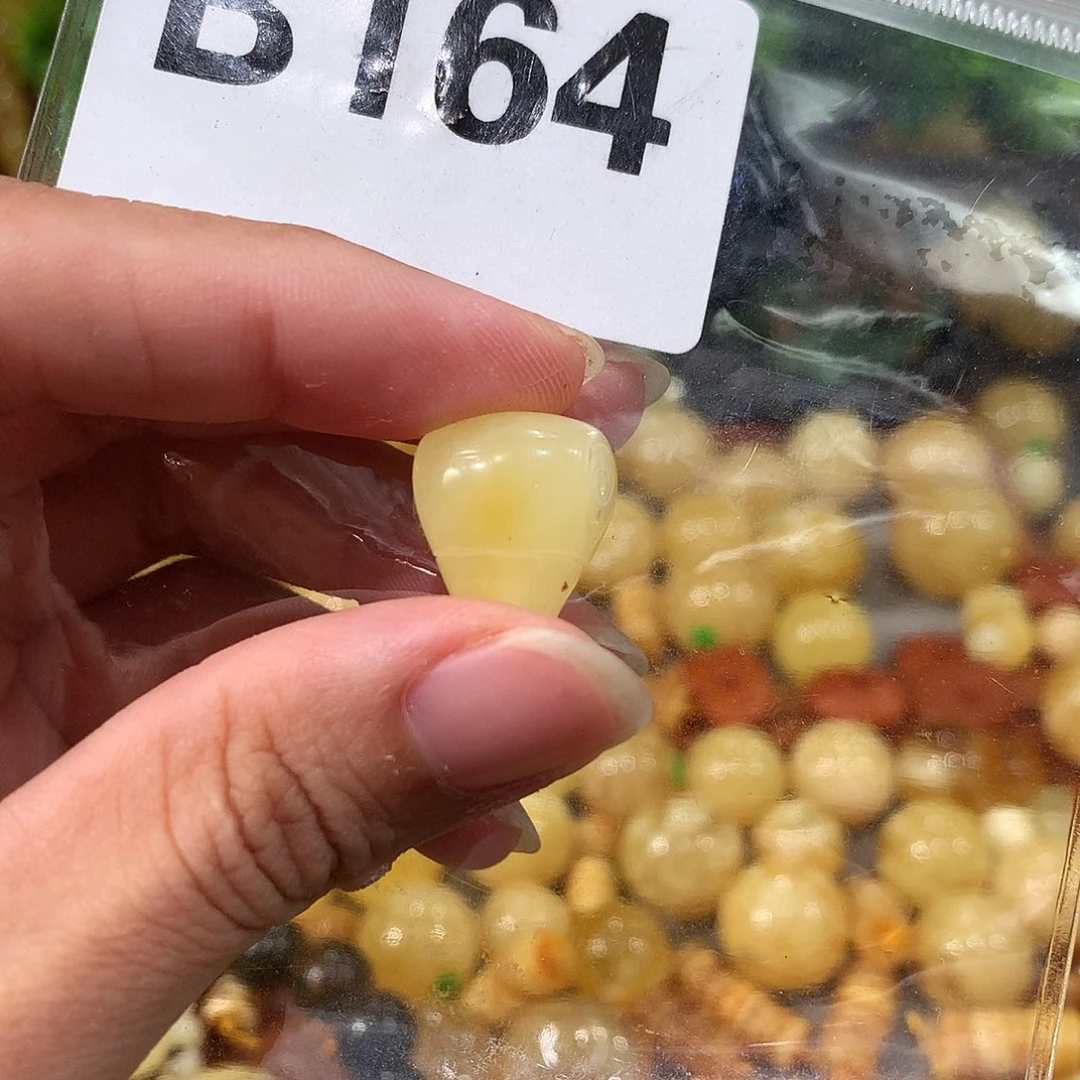 未镶嵌琥珀珠宝奇石