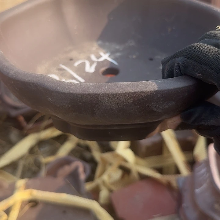 紫砂杯及红石酒品中都