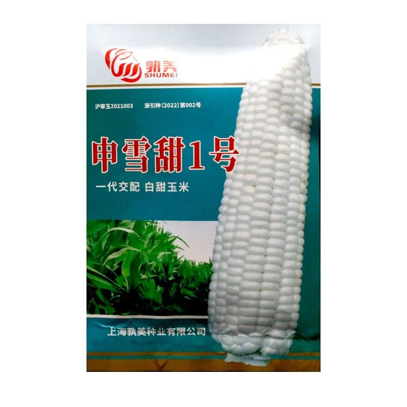 孰美申雪甜1号玉米种子白甜玉米种鲜食甜牛奶爆浆玉米可生吃玉米