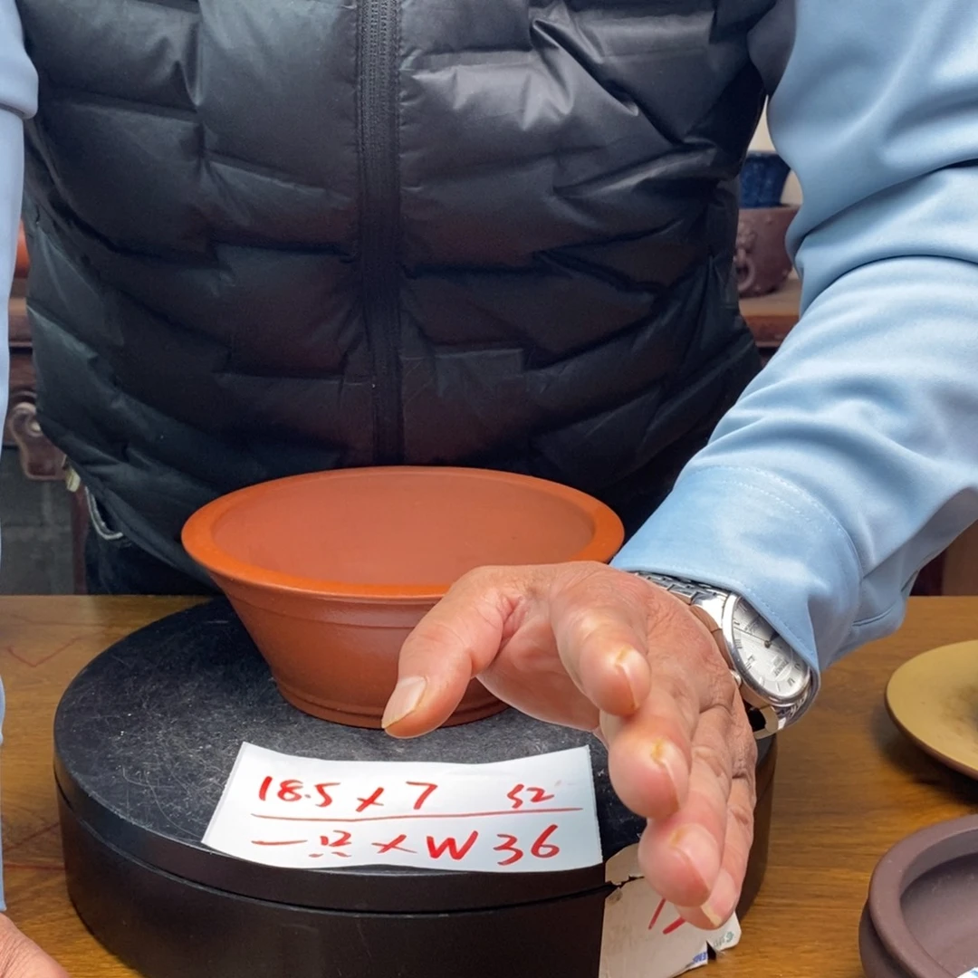 红陶货号一只XW36