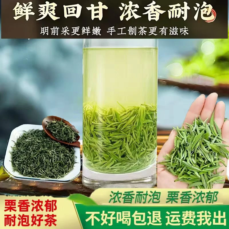 【2025新茶上市热销中】信阳毛尖明前手工小芽茶2号