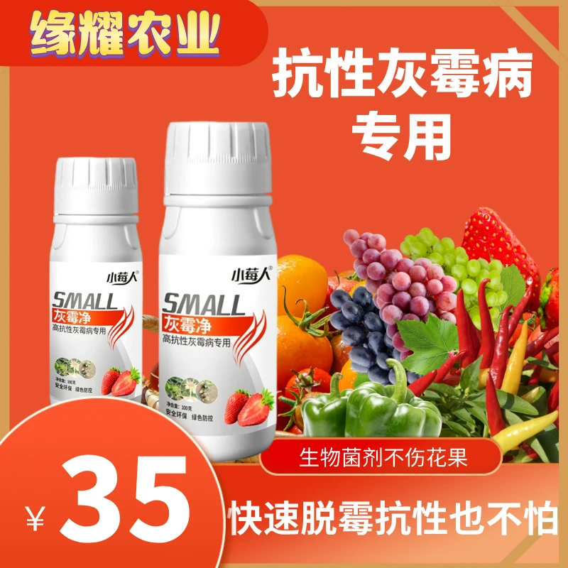 灰霉病专用菌剂快速脱霉生物制剂不伤花果作物通用