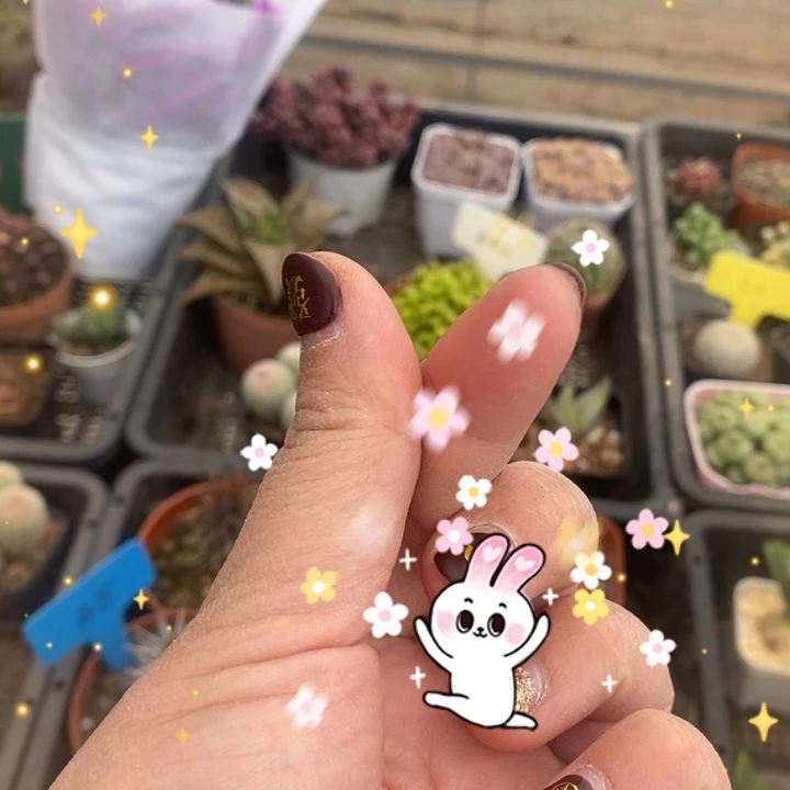 伯克利和格蕾纳等著名音乐家都