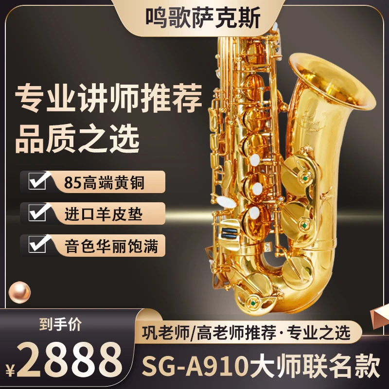 A910中音萨克斯 降E调中音 巩老师推荐包一对一视频教学