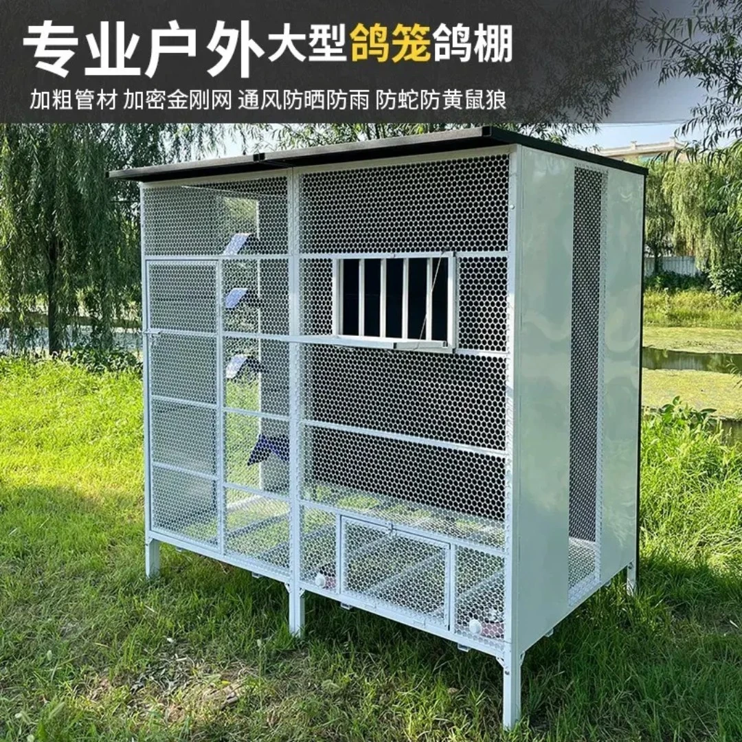 鸽笼鸽舍鸽棚配对繁殖笼户外大型烤漆防锈活络门养殖笼可自由进出