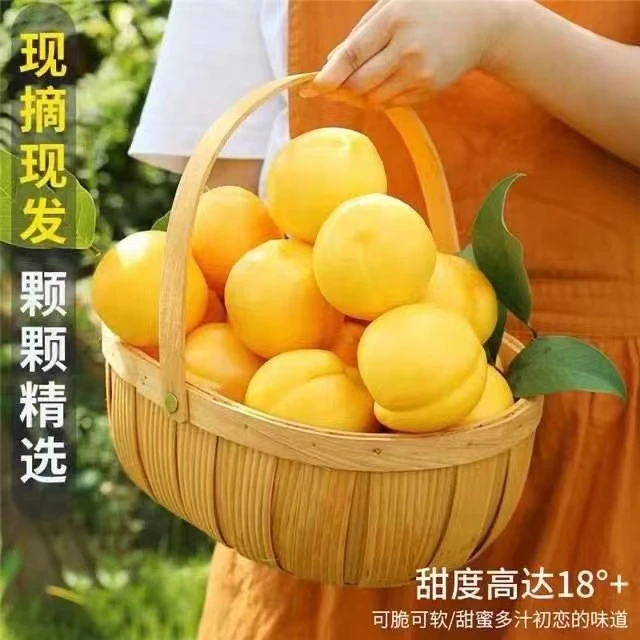 熊熊鲜果沂蒙山蒙阴黄油桃新鲜现发皮薄香甜脆软两吃