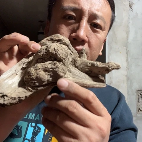 柏木崖柏毛料的加工
