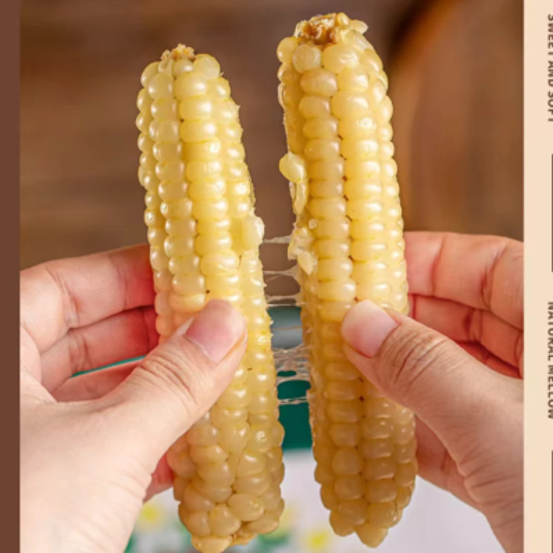 西双版纳拇指小玉米 香糯甜 真空包装