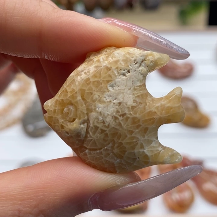 硅化玉颈饰未镶嵌年年有余 54号链接