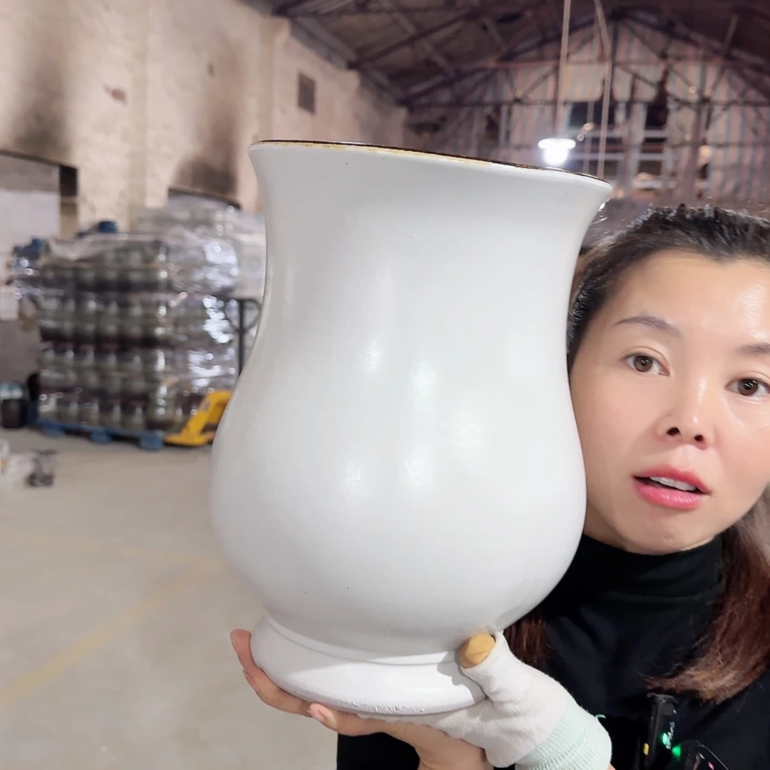 王嫂花盆直播1106-421